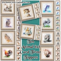 10 Animal 8x8 Cardfronts / Toppers Bumper Pack