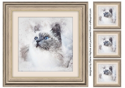 Cat 4 8x8 Card Front / Topper