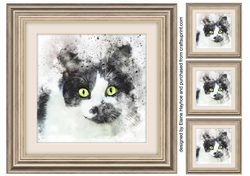 Cat 5 8x8 Card Front / Topper