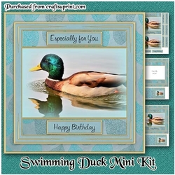 Swimming Duck Mini Kit