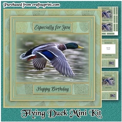 Flying Duck Mini Kit