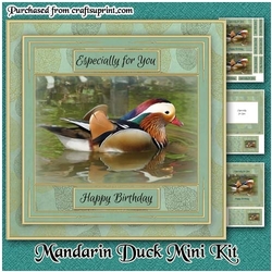Mandarin Duck Mini Kit