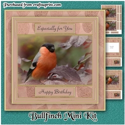 Bullfinch Mini Kit