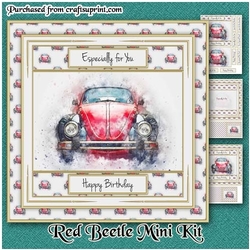 Red Beetle Mini Kit