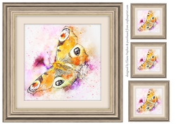 Butterfly 1 8x8 Card Front / Topper