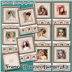 Framed Beauties 8x8 Bumper Kit