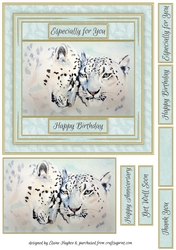 Leopards 7x7 Card Front Topper