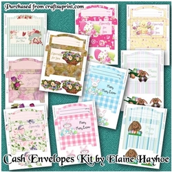 Cash Envelopes Bumper Kit