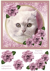 Pretty Kitty 8x8 Card Front Topper