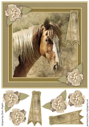 Pretty Pony 8x8 Card Front Topper