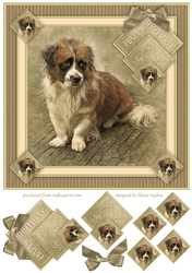 Sad Sam 8x8 Card Front Topper