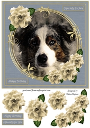 Border Collie 8x8 Birthday Card Front Topper