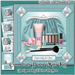 Cosmetics Purse Birthday Mini Kit