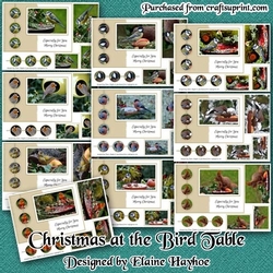 Christmas at the Bird Table Bumper Kit