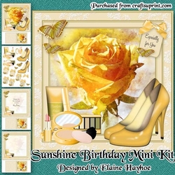 Sunshine Birthday Mini Kit
