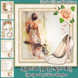 Special Day Mini Kit