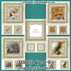 Wildlife Card Kit