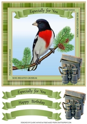 Birdwatcher Card Front / Topper