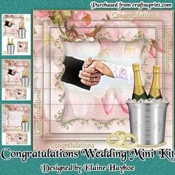 Congratulations Wedding Mini Kit
