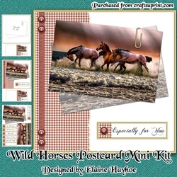 Wild Horses Postcard Mini Kit