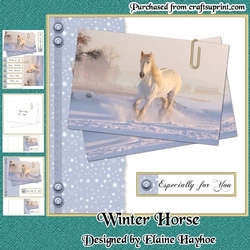 Winter Horse Postcards Mini Kit