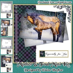 Mother and Foal Mini Kit