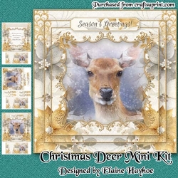 Christmas Deer Mini Kit