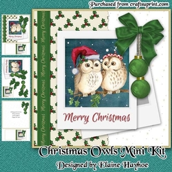 Christmas Owls Mini Kit