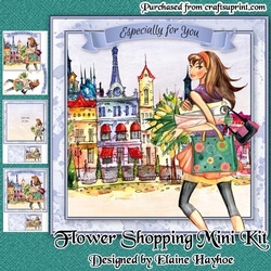 Flower Shopping Mini Kit