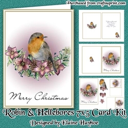 Robin & Hellebores 5x7 Card Kit