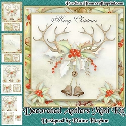 Decorated Antlers Mini Kit