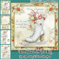 Ice Skate Mini Kit