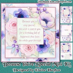 Because Youre Special Mini Kit