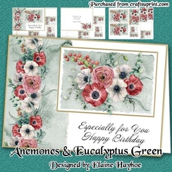 Anemone & Eucalyptus Green Mini Kit