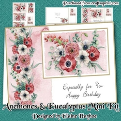 Anemone & Eucalyptus Mini Kit
