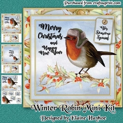Christmas Robin Mini Kit