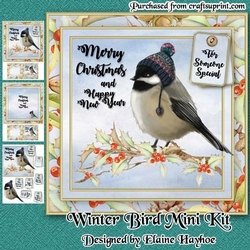 Christmas Bird Mini Kit