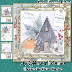 A Robin at Christmas Mini Kit