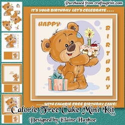 Calorie Free Cake Mini Kit