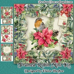 Framed Robin Mini Kit