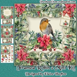 Framed Robin 2 Mini Kit