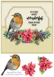 Robin & Lace QuicknEasy Card Front