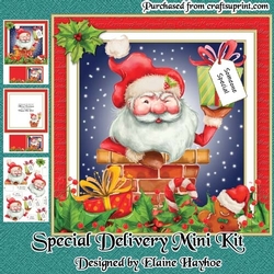 Special Delivery Mini Kit