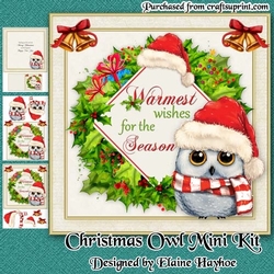 Christmas Owl Mini Kit