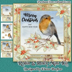 Robin & Holly Mini Kit