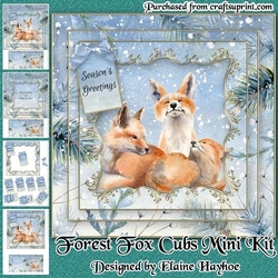 Forest Fox Cubs Mini Kit