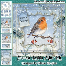 Forest Robin Mini Kit