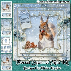 Forest Squirrel Mini Kit