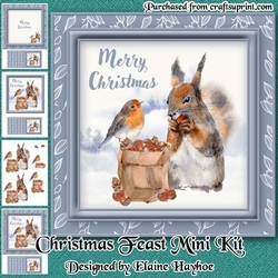 Christmas Feast Mini Kit
