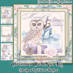 Pastel Christmas Owl Mini Kit